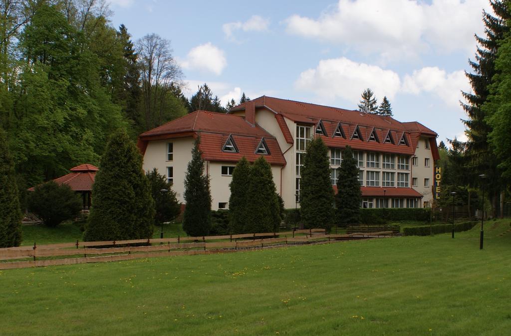 Hotel I Restauracja Złoty Las Exterior foto